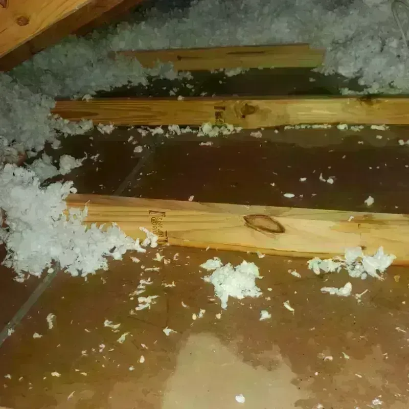 Attic Water Damage in Muleshoe, TX